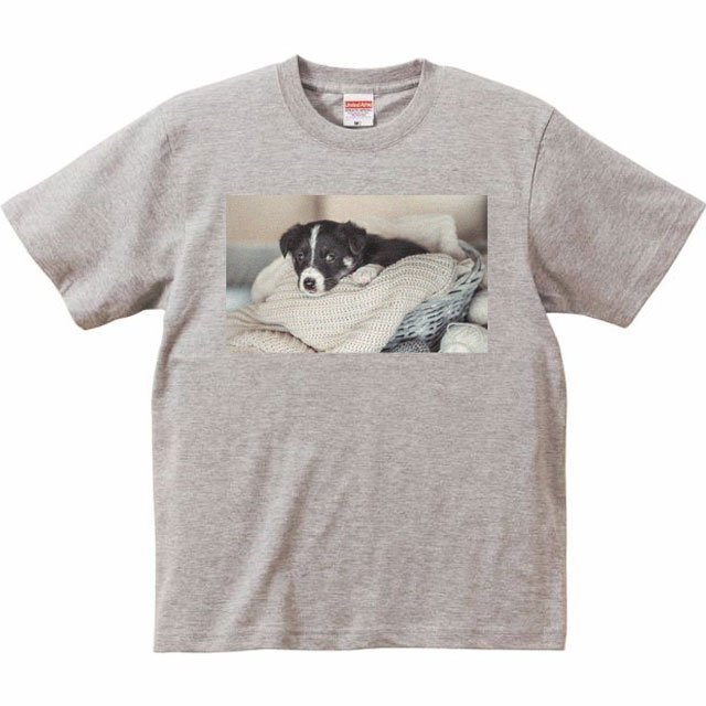 動物・ペットの写真Ｔシャツ