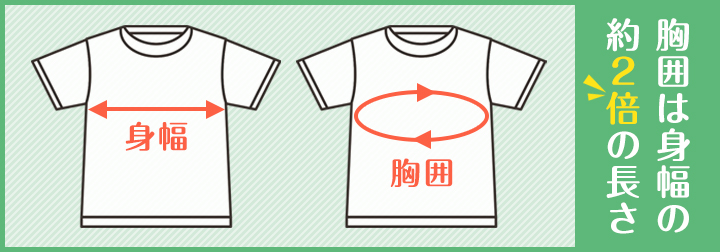 身幅と胸囲の違い