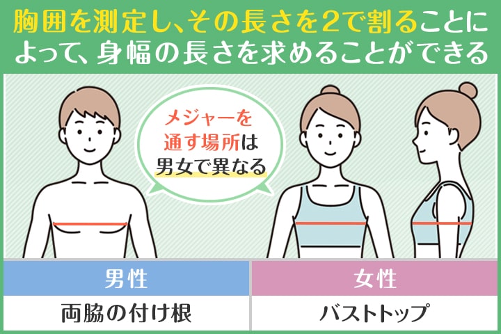 ヌード寸の身幅の測り方