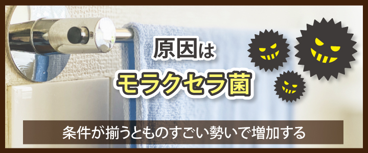 タオルが濡れると臭いがする理由