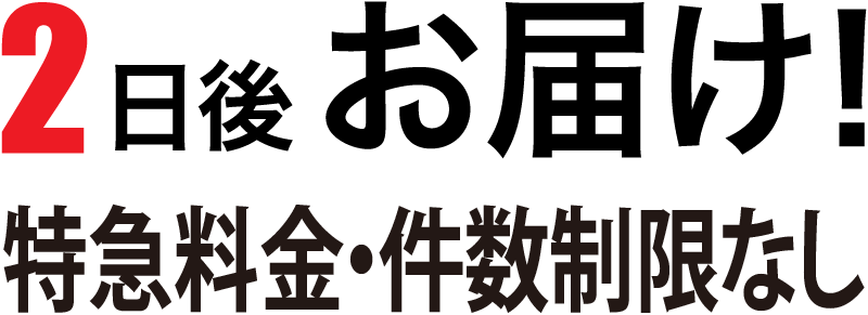 翌日お届け