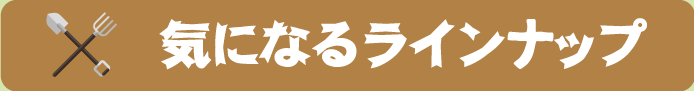 気になるラインナップ