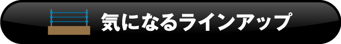 気になるラインナップ
