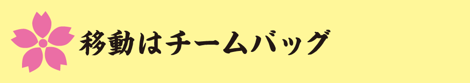 移動はチームバッグ