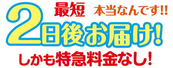 最短翌日発送・2日後お届け