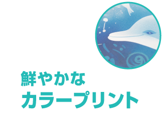 鮮やかなカラープリント