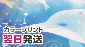 カラープリント翌日発送