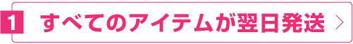すべてのアイテムが翌日発送