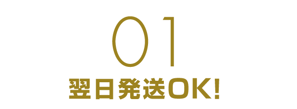 翌日発送OK