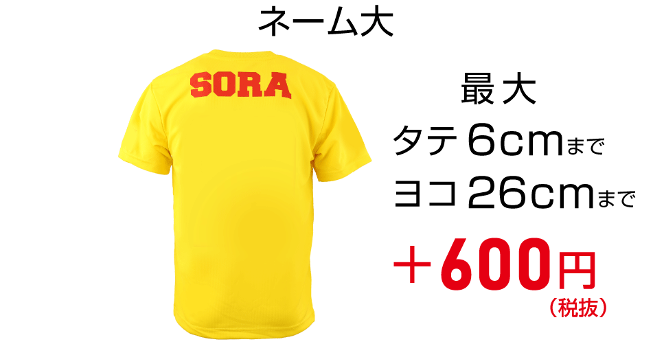 ネーム大の価格 +600円