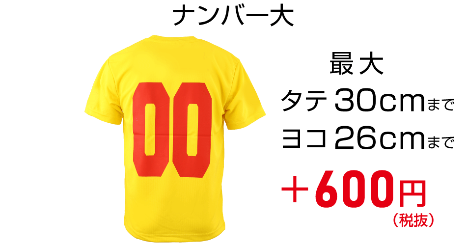 ナンバー大の価格 +600円