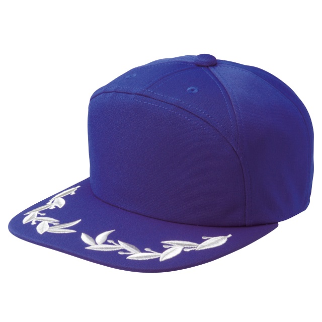 491 DC 刺繍ロゴ キャップ L/XL 青 90s Championチャンピオン スクリプト Derby blue ロゴ刺繍
