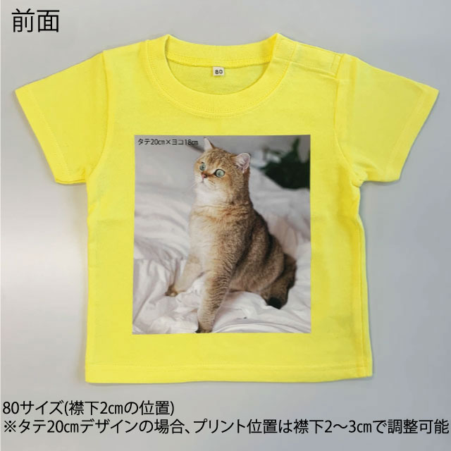 楽天市場】速乾 tシャツ メンズ 無地 BEESBEAM ビーズビーム 4.0