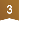 NO,3