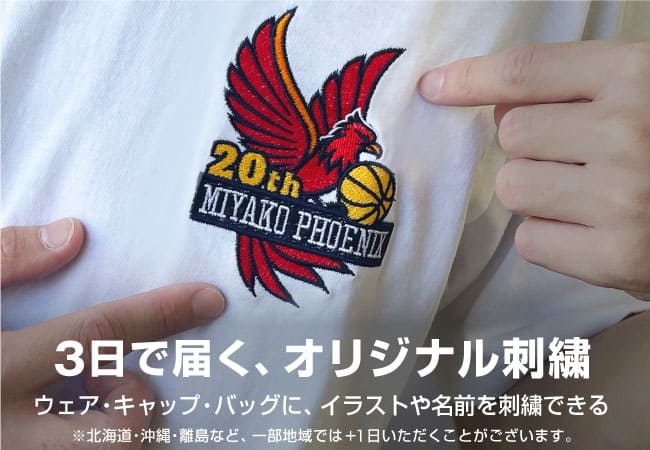 国内で当店のみ CFIERCE Tシャツ 2色展開 PACK Tシャツ 2.0｜UNISEXE / T-SHIRTS｜A.P.C. | アーペーセー